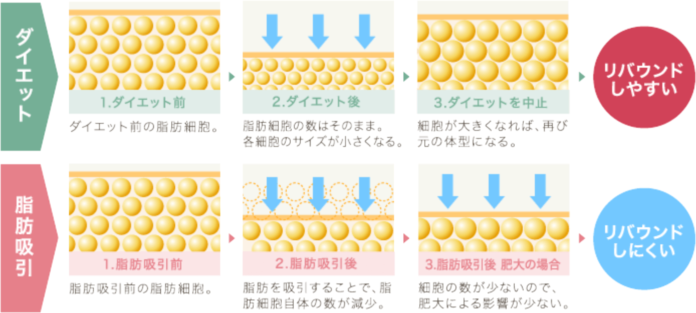 リバウンドしにくい